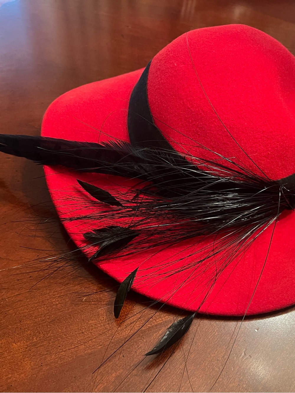 Elegant Red Felt Hat with Black Feather Trim